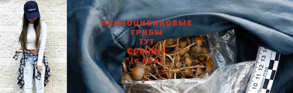 первитин Богданович