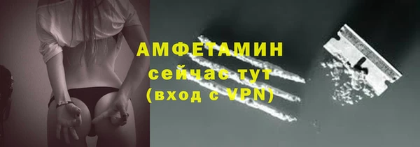 первитин Богданович