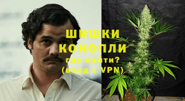 первитин Богданович