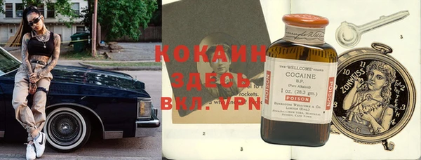 первитин Богданович
