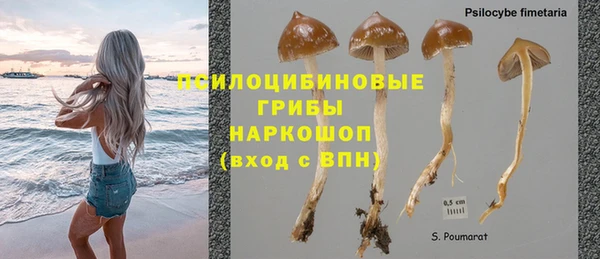 синтетический гашиш Богородицк