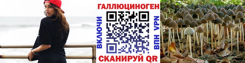 darknet какой сайт  Назарово  Галлюциногенные грибы Psilocybine cubensis 